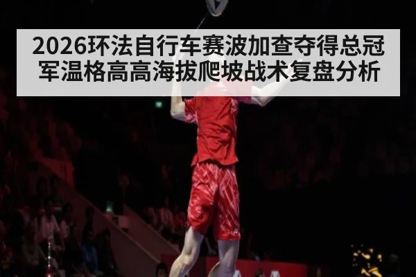 2026环法自行车赛波加查夺得总冠军温格高高海拔爬坡战术复盘分析